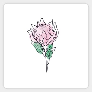 Tropical king protea flower Sticker